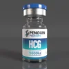 Human Chorionic Gonadotropin