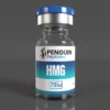Human Menopausal Gonadotropin (HMG)