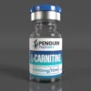 L-Carnitine 6000mg